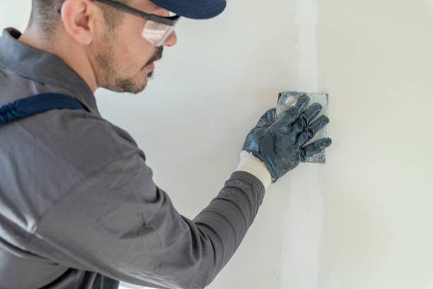 Environmental Consulting for Mold Prevention in Champaign, IL