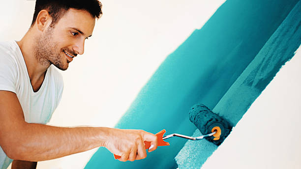 Best Dehumidification Services  in Champaign, IL