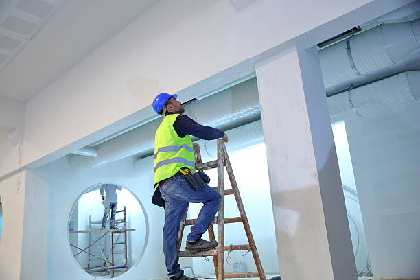Best Forensic Mold Investigation  in Champaign, IL