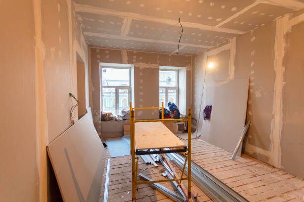 Best Mold Prevention Services  in Champaign, IL