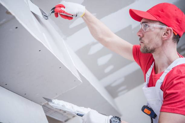 Best Black Mold Removal  in Champaign, IL